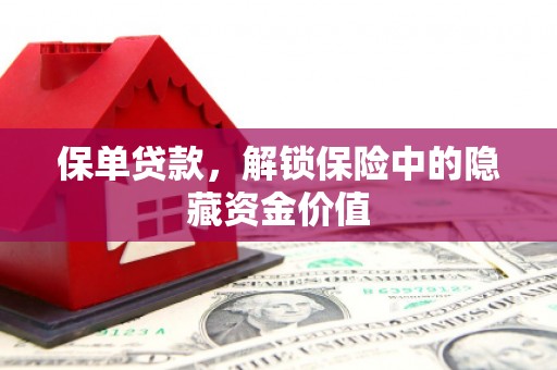 海安保单贷款，解锁保险中的隐藏资金价值