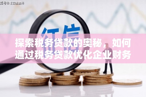 渝中探索税务贷款的奥秘，如何通过税务贷款优化企业财务