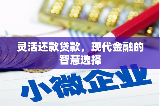 学甲灵活还款贷款，现代金融的智慧选择
