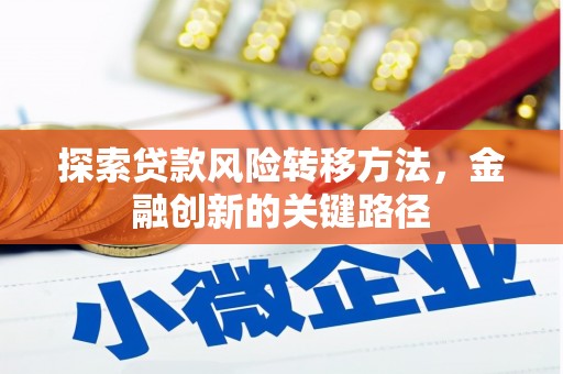 新龙探索贷款风险转移方法，金融创新的关键路径