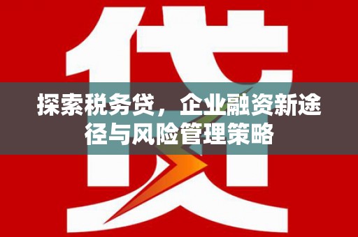 通川探索税务贷，企业融资新途径与风险管理策略