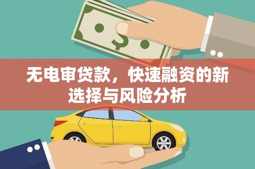 阿鲁科尔沁旗无电审贷款，快速融资的新选择与风险分析