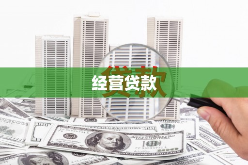 叶城经营贷款