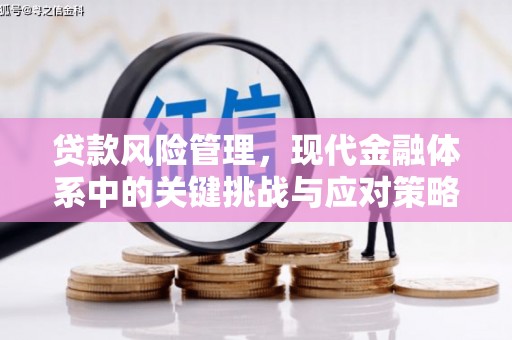中西贷款风险管理，现代金融体系中的关键挑战与应对策略