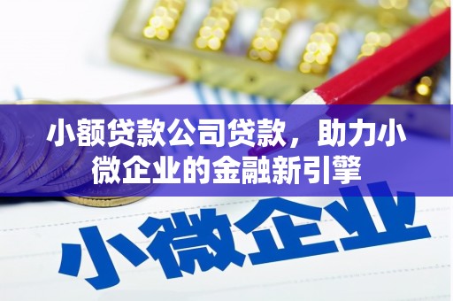 美兰小额贷款公司贷款，助力小微企业的金融新引擎