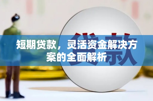 顺庆短期贷款，灵活资金解决方案的全面解析