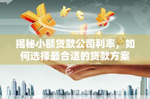 萨迦揭秘小额贷款公司利率，如何选择最合适的贷款方案