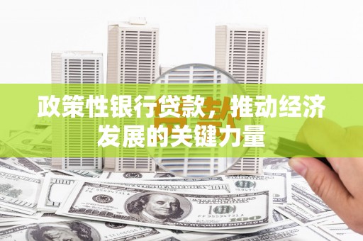 兰屿政策性银行贷款，推动经济发展的关键力量