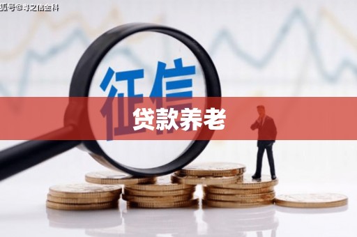 桃山贷款养老