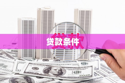 西林贷款条件