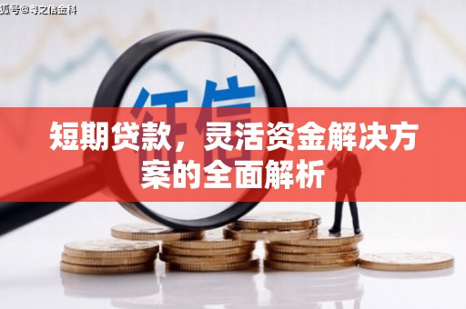 莺歌短期贷款，灵活资金解决方案的全面解析
