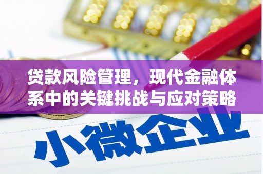 兴文贷款风险管理，现代金融体系中的关键挑战与应对策略