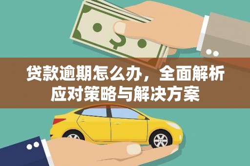 普格贷款逾期怎么办，全面解析应对策略与解决方案