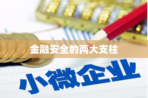 桃城金融安全的两大支柱