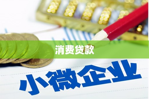 盐田消费贷款