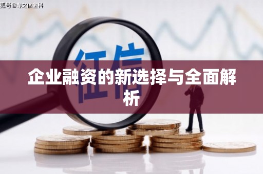 柳东企业融资的新选择与全面解析
