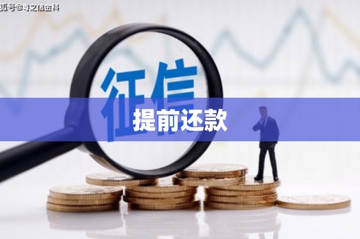 湘潭提前还款