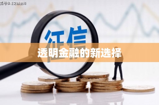 东丽透明金融的新选择
