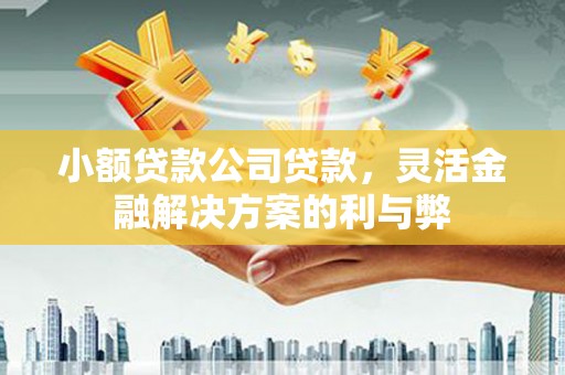 东宝小额贷款公司贷款，灵活金融解决方案的利与弊