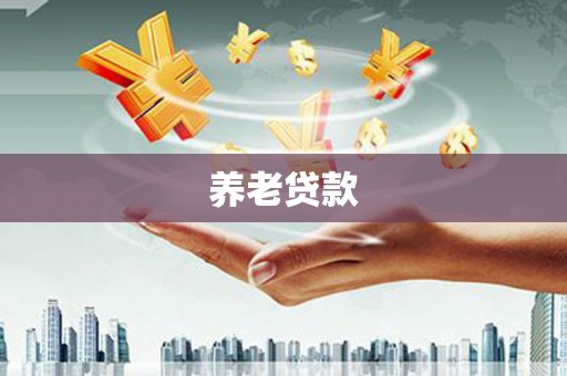 蔡甸养老贷款