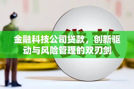 玛曲金融科技公司贷款，创新驱动与风险管理的双刃剑